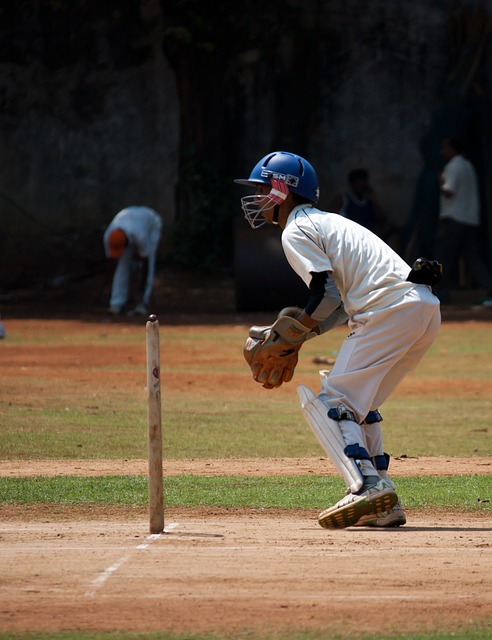 Cricket’s Carbon Footprint: Towards a Greener Future