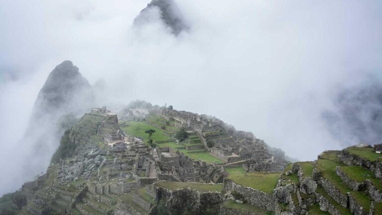 How To Start Using The 99Exch Play Online Feature?